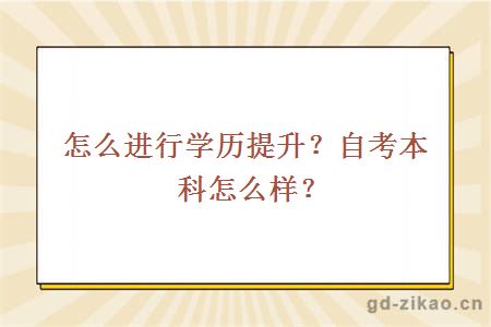 怎么进行学历提升？自考本科怎么样？