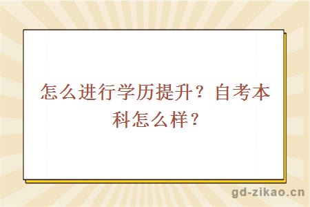 怎么进行学历提升？自考本科怎么样？