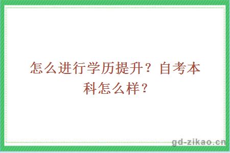 2020年怎么进行学历提升？自考本科怎么样？