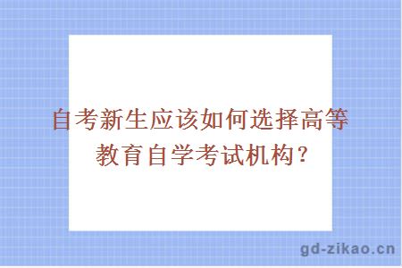 自考新生应该如何选择高等教育自学考试机构？