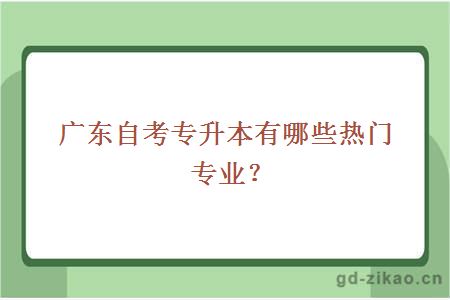 广东自考专升本有哪些热门专业？