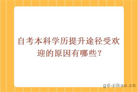 自考本科学历提升途径受欢迎的原因有哪些？