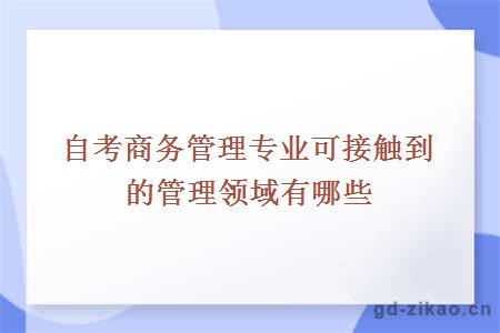 自考商务管理专业可接触到的管理领域有哪些