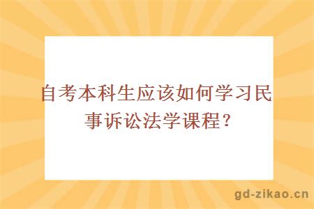 自考本科生应该如何学习民事诉讼法学课程？