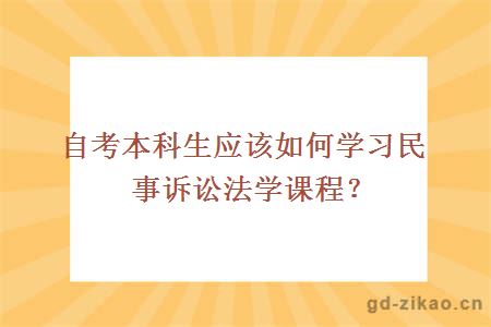 自考本科生应该如何学习民事诉讼法学课程？