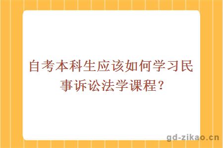 自考本科生应该如何学习民事诉讼法学课程？