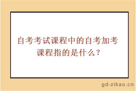 自考考试课程中的自考加考课程指的是什么？