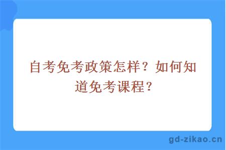 自考免考政策怎样？如何知道免考课程？