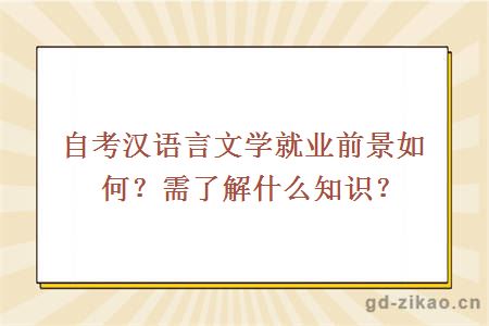 自考汉语言文学就业前景如何？需了解什么知识？