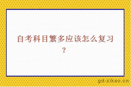 自考科目繁多应该怎么复习？