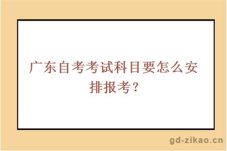 广东自考考试科目要怎么安排报考？