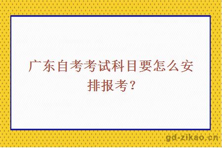 广东自考考试科目要怎么安排报考？