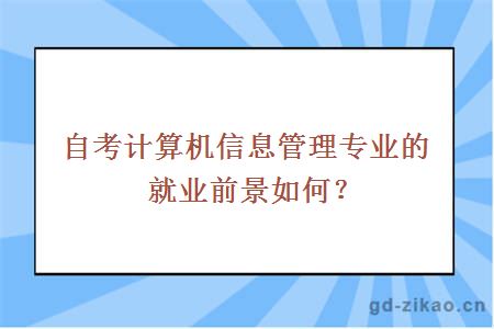 自考计算机信息管理专业的就业前景如何？