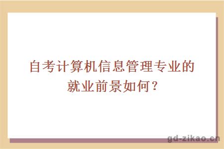 自考计算机信息管理专业的就业前景如何？