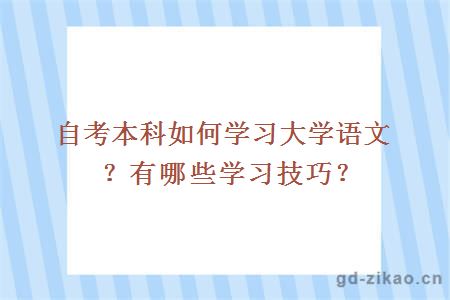 自考本科如何学习大学语文？有哪些学习技巧？