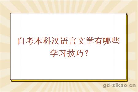 自考本科汉语言文学有哪些学习技巧？