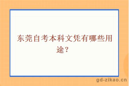 东莞自考本科文凭有哪些用途？