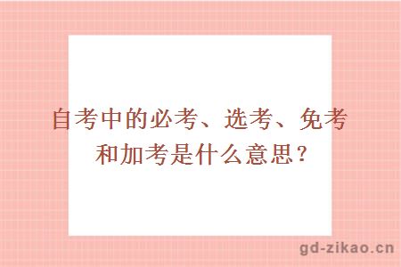 自考中的必考、选考、免考和加考是什么意思？