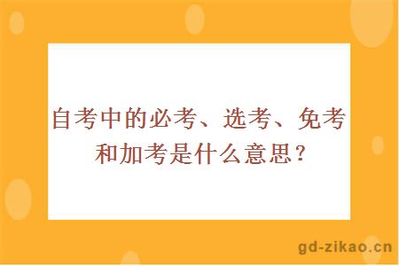 自考中的必考、选考、免考和加考是什么意思？