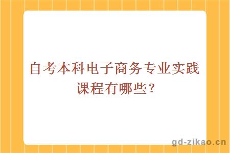 自考本科电子商务专业实践课程有哪些？