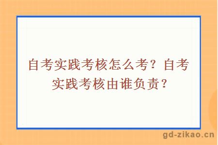 自考实践考核怎么考？自考实践考核由谁负责？