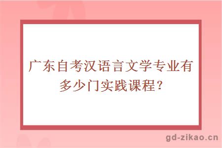 广东自考汉语言文学专业有多少门实践课程？