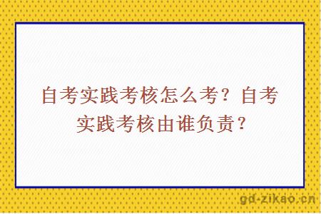 自考实践考核怎么考？自考实践考核由谁负责？
