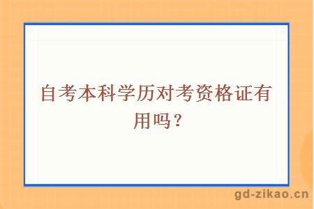 自考本科学历对考资格证有用吗？
