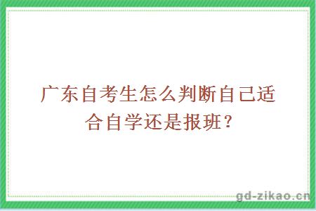 广东自考生怎么判断自己适合自学还是报班？