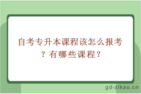 自考专升本课程该怎么报考？有哪些课程？