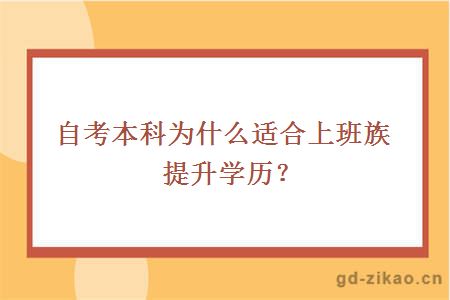 自考本科为什么适合上班族提升学历？