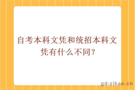 自考本科文凭和统招本科文凭有什么不同？