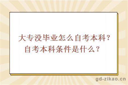 大专没毕业怎么自考本科？自考本科条件是什么？