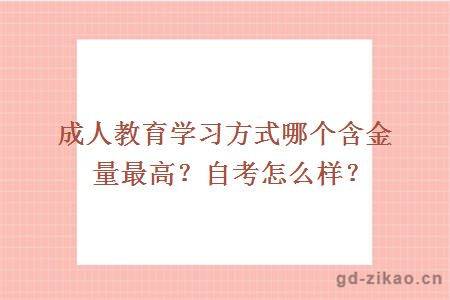 成人教育学习方式哪个含金量最高？自考怎么样？