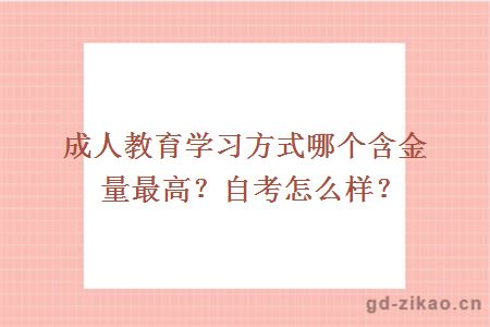 成人教育学习方式哪个含金量最高？自考怎么样？