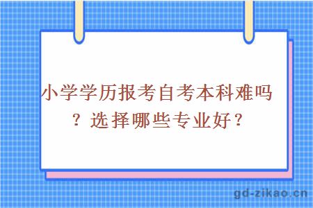 小学学历报考自考本科难吗？选择哪些专业好？