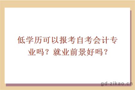 低学历可以报考自考会计专业吗？就业前景好吗？