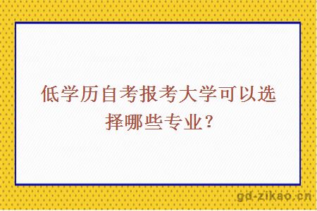 低学历自考报考大学可以选择哪些专业？