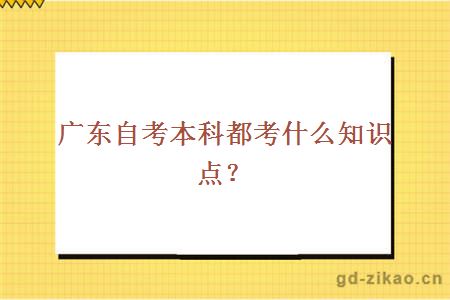 广东自考本科都考什么知识点？