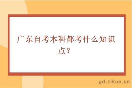 广东自考本科都考什么知识点?