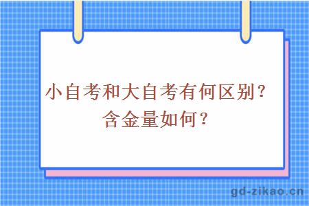 小自考和大自考有何区别？含金量如何？