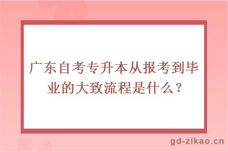 广东自考专升本从报考到毕业的大致流程是什么？