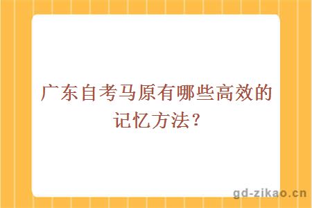 广东自考马原有哪些高效的记忆方法？