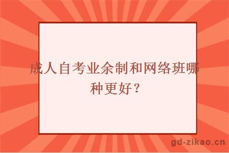 成人自考业余制和网络班哪种更好？