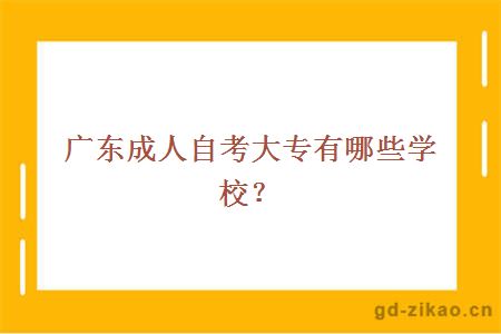 广东成人自考大专有哪些学校？