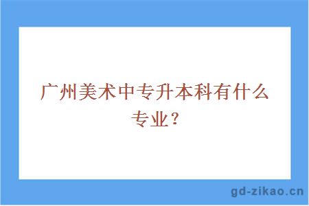 广州美术中专升本科有什么专业？