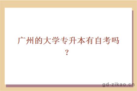 广州的大学专升本有自考吗?