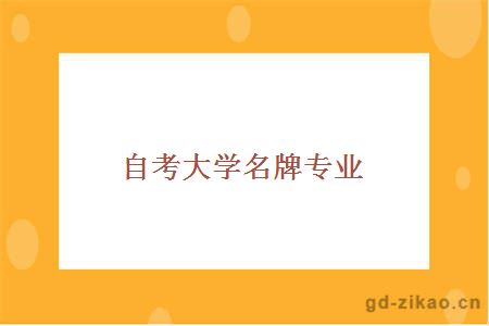 自考大学名牌专业