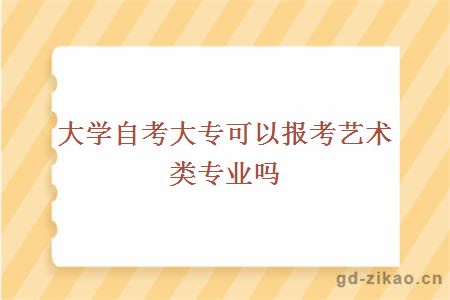 大学自考大专可以报考艺术类专业吗