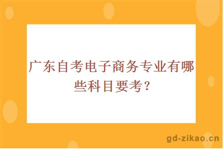 广东自考电子商务专业有哪些科目要考？